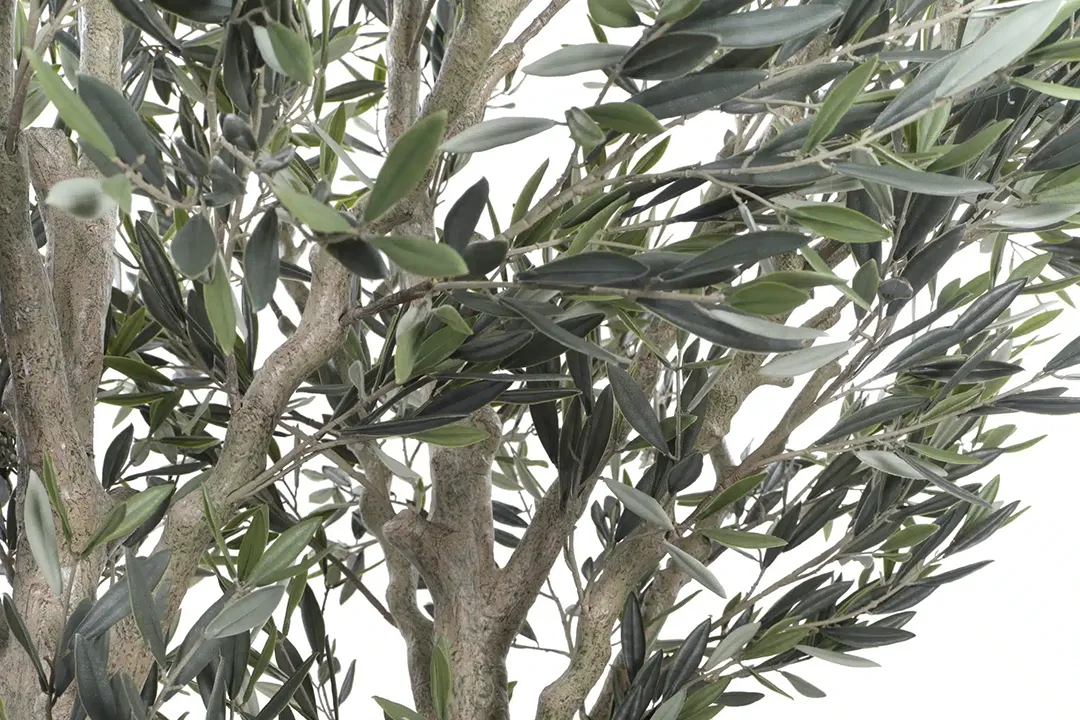 Vistafolia Cielo Verdi Artificial Olive Tree - Presentation Media