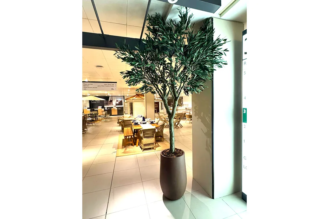 Vistafolia Cielo Verdi Artificial Olive Tree - Presentation Media
