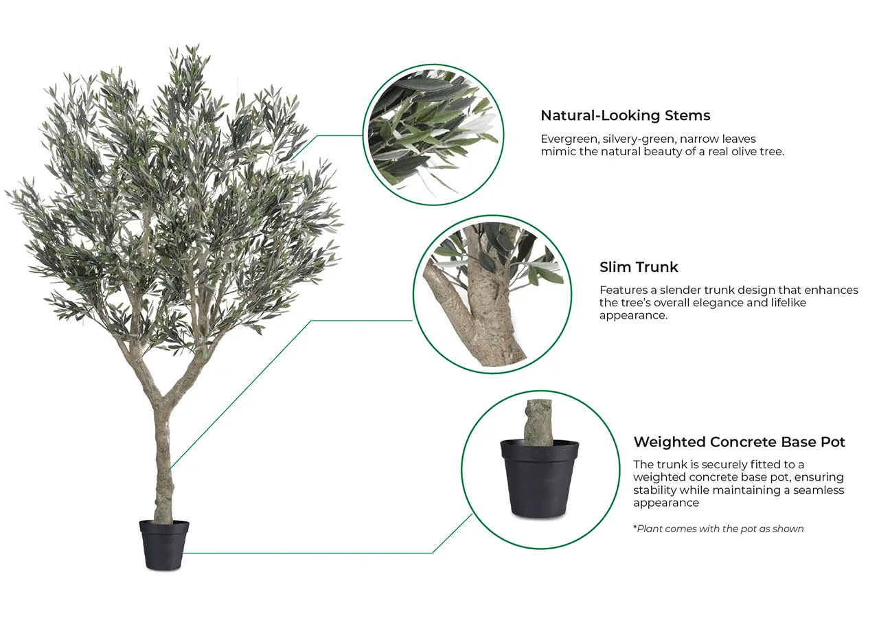 Vistafolia Cielo Verdi Artificial Olive Tree - Presentation Media