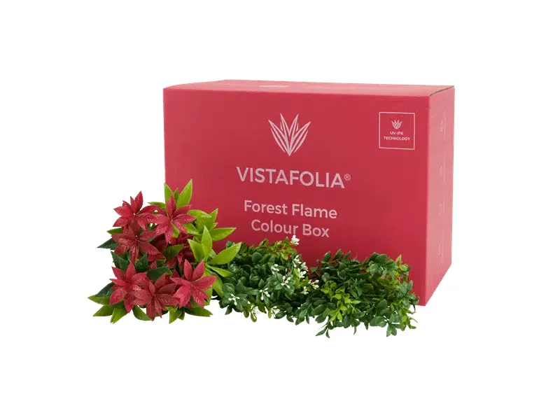 Vistafolia Colour and Texture Boxes - Presentation Media