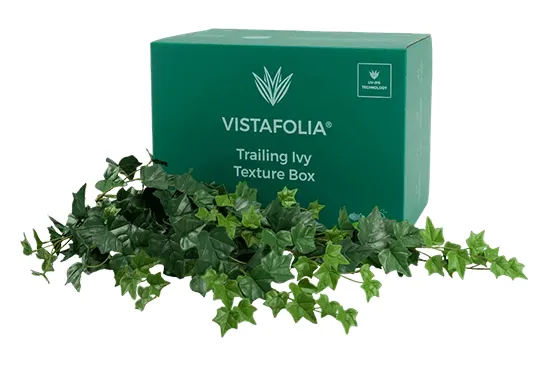 Vistafolia Trailing Ivy Texture Box - Presentation Media
