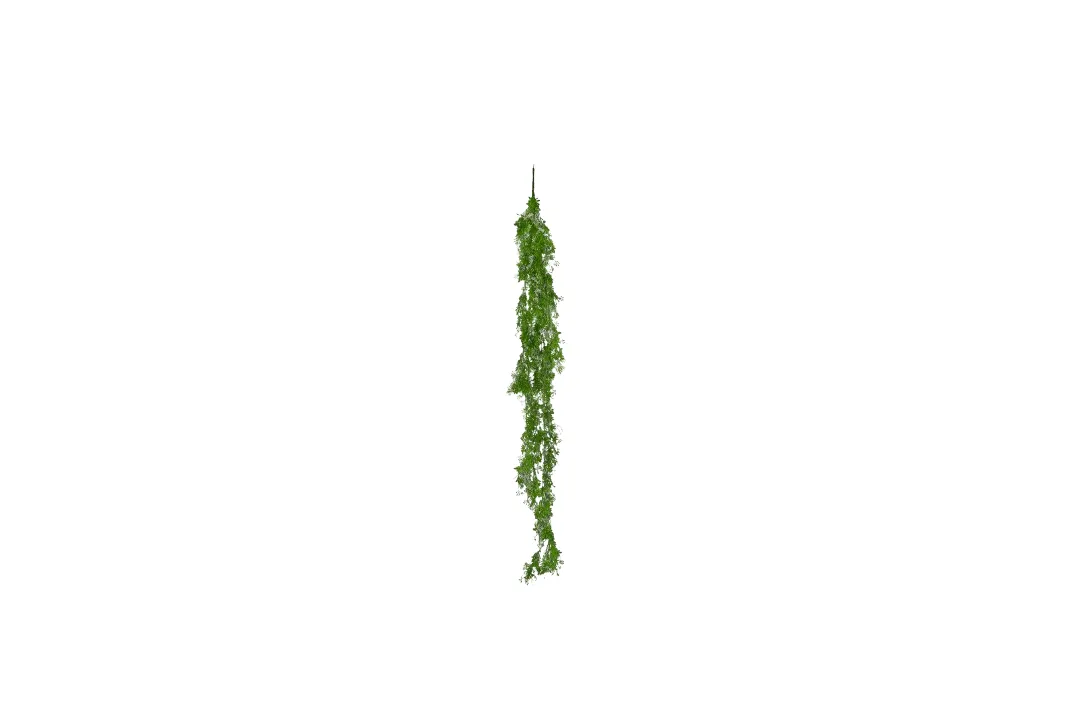Vistafolia Extendable Artificial Trailing Plants - Presentation Media