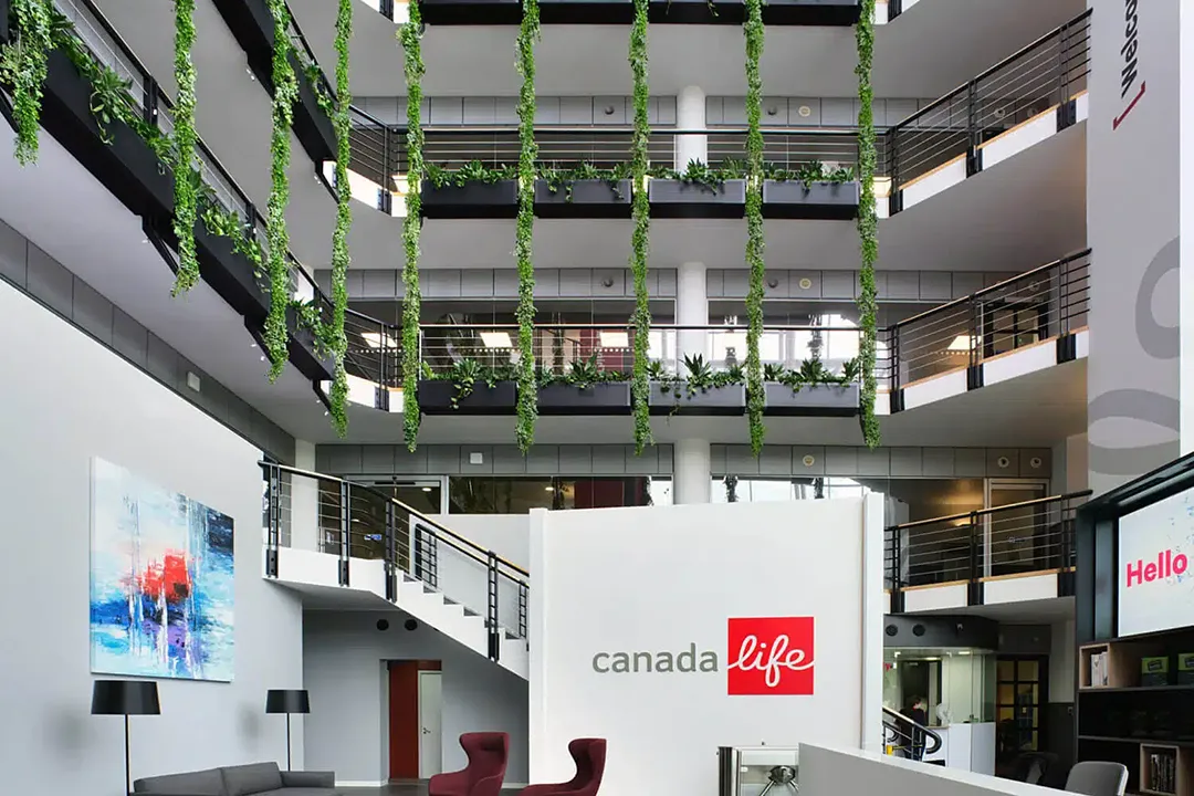 Vistafolia Extendable Artificial Trailing Plants - Presentation Media