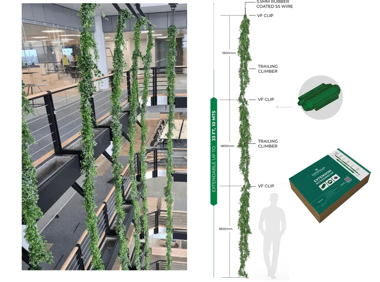 Vistafolia Extendable Artificial Trailing Plants - Presentation Media