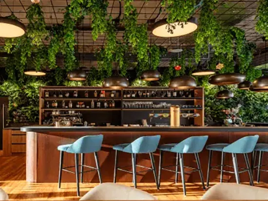Vistafolia Extendable Artificial Trailing Plants - Presentation Media