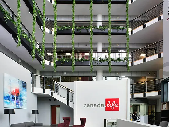 Vistafolia Extendable Artificial Trailing Plants - Presentation Media