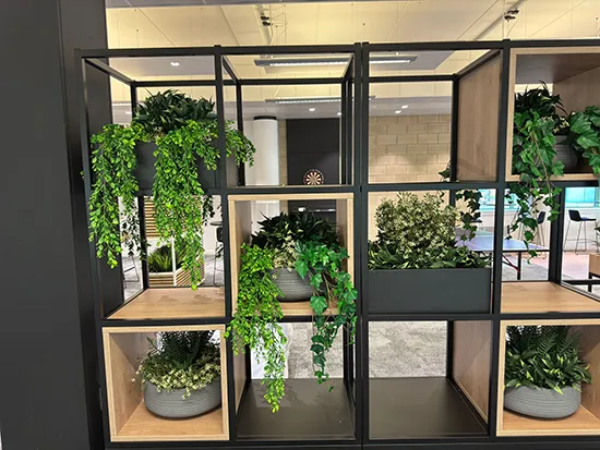 Vistafolia Extendable Artificial Trailing Plants - Presentation Media