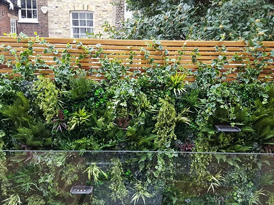 Vistafolia Extendable Artificial Trailing Plants - Presentation Media