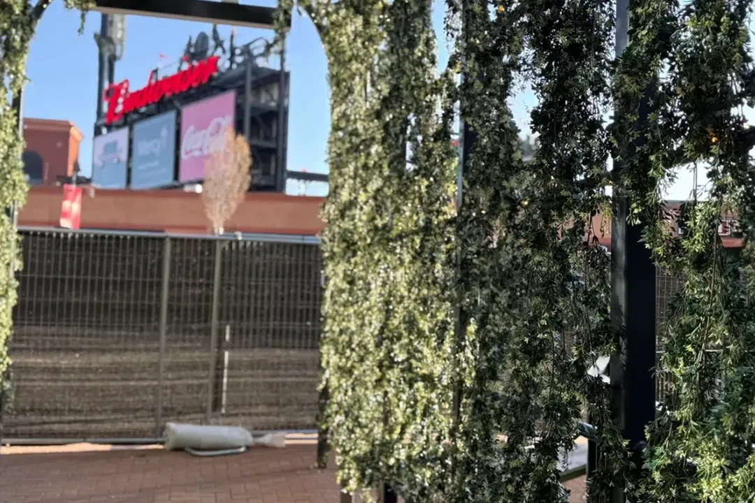 Vistafolia Extendable Artificial Trailing Plants - Presentation Media