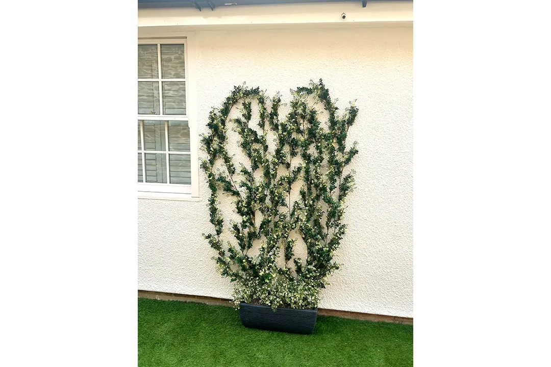 Vistafolia Extendable Artificial Trailing Plants - Presentation Media