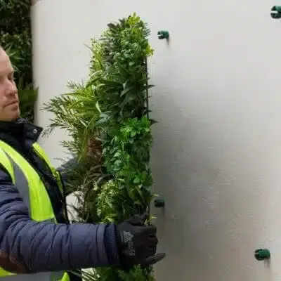 Vistafolia Green Wall Fixing System - Presentation Media
