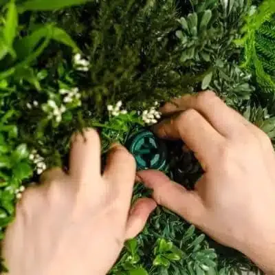 Vistafolia Green Wall Fixing System - Presentation Media
