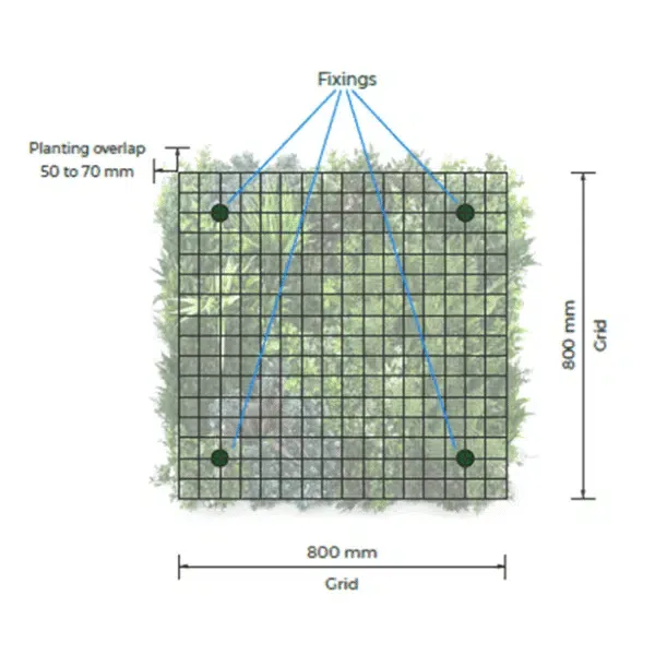 Vistafolia Green Wall Fixing System - Presentation Media