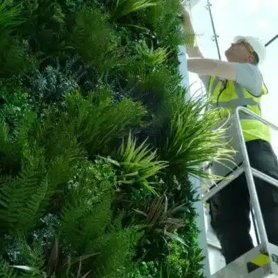 Vistafolia Green Wall Fixing System - Presentation Media