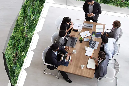 Vistafolia Modular Green Wall Partitions - Presentation Media