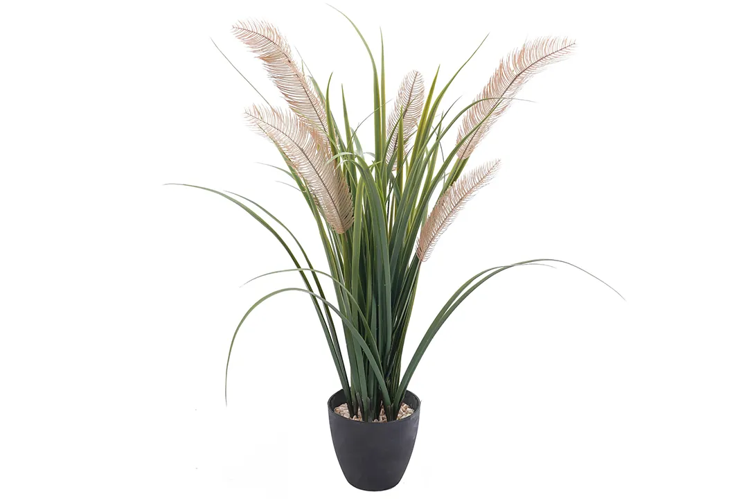Vistafolia Artificial Grass Plant - Presentation Media