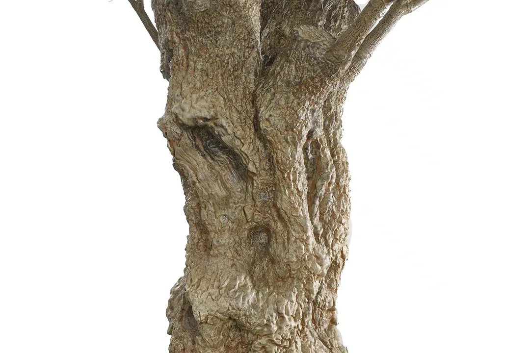 Vistafolia Olea Bella Mature Artificial Olive Tree - Presentation Media