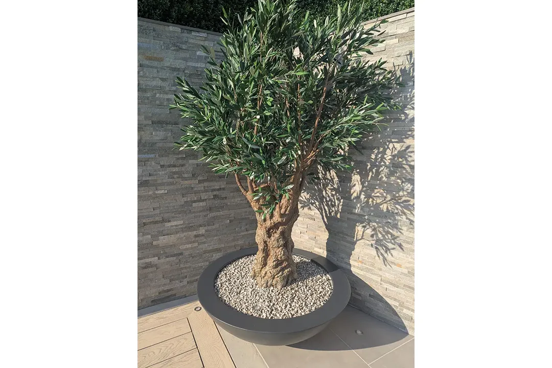Vistafolia Olea Bella Mature Artificial Olive Tree - Presentation Media