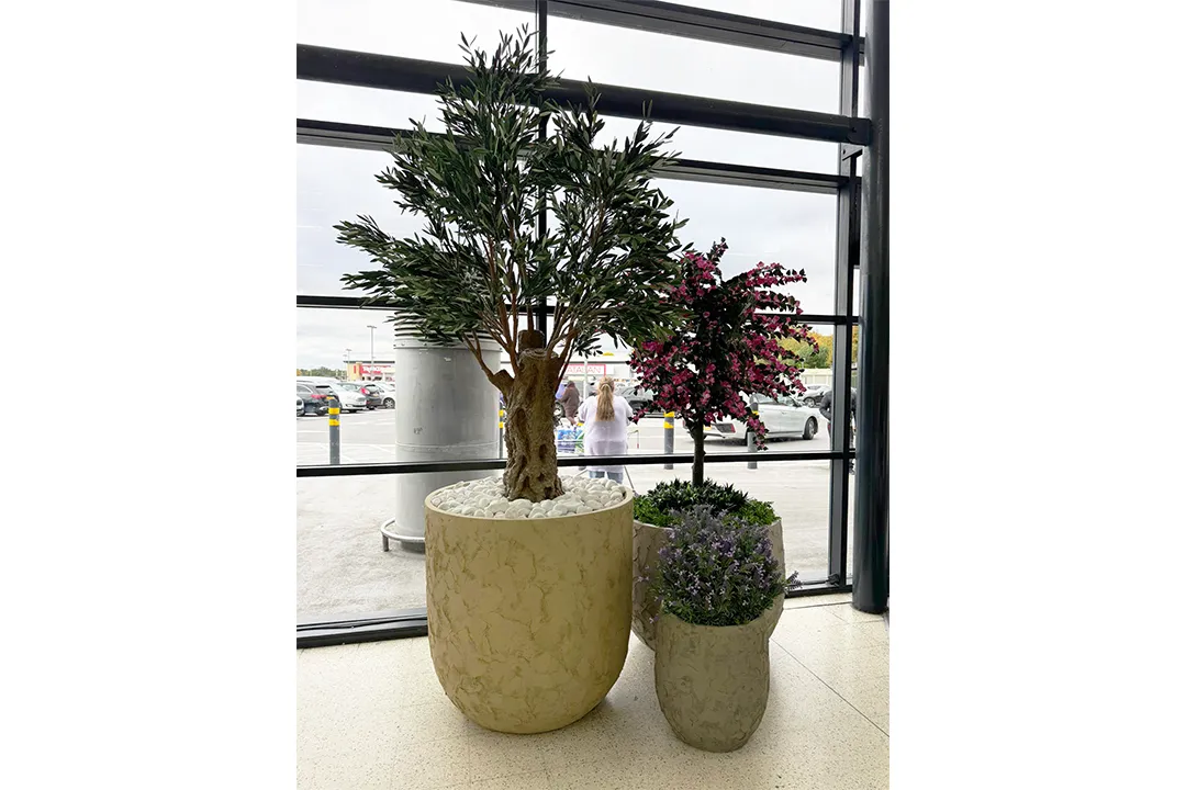 Vistafolia Olea Bella Mature Artificial Olive Tree - Presentation Media