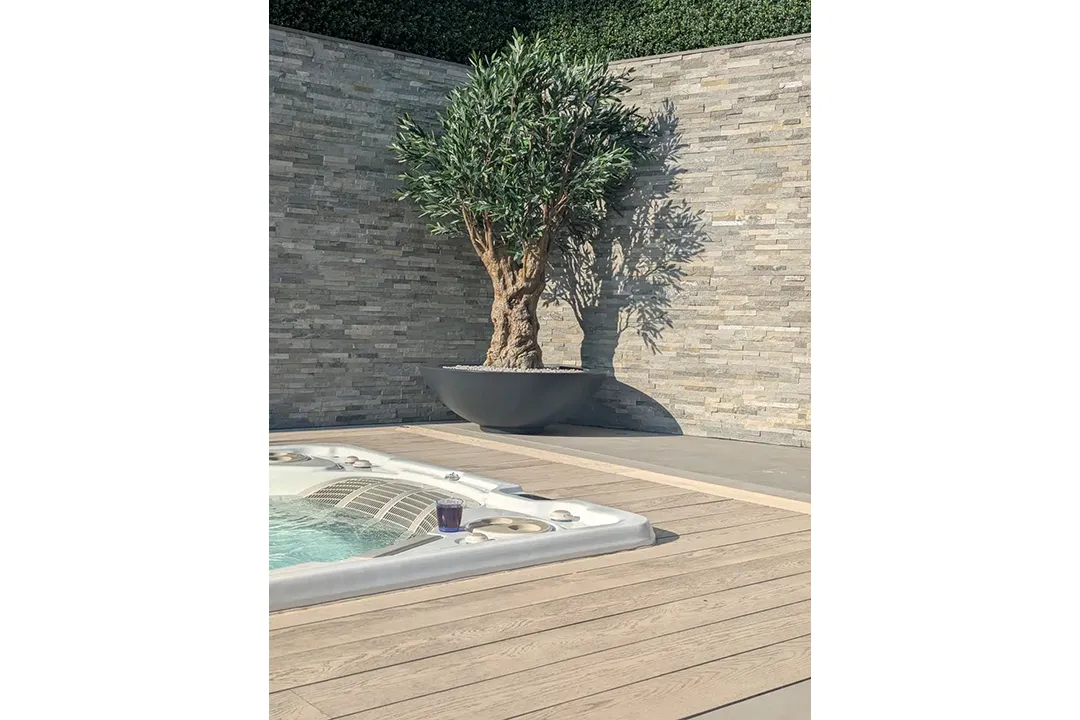Vistafolia Olea Bella Mature Artificial Olive Tree - Presentation Media