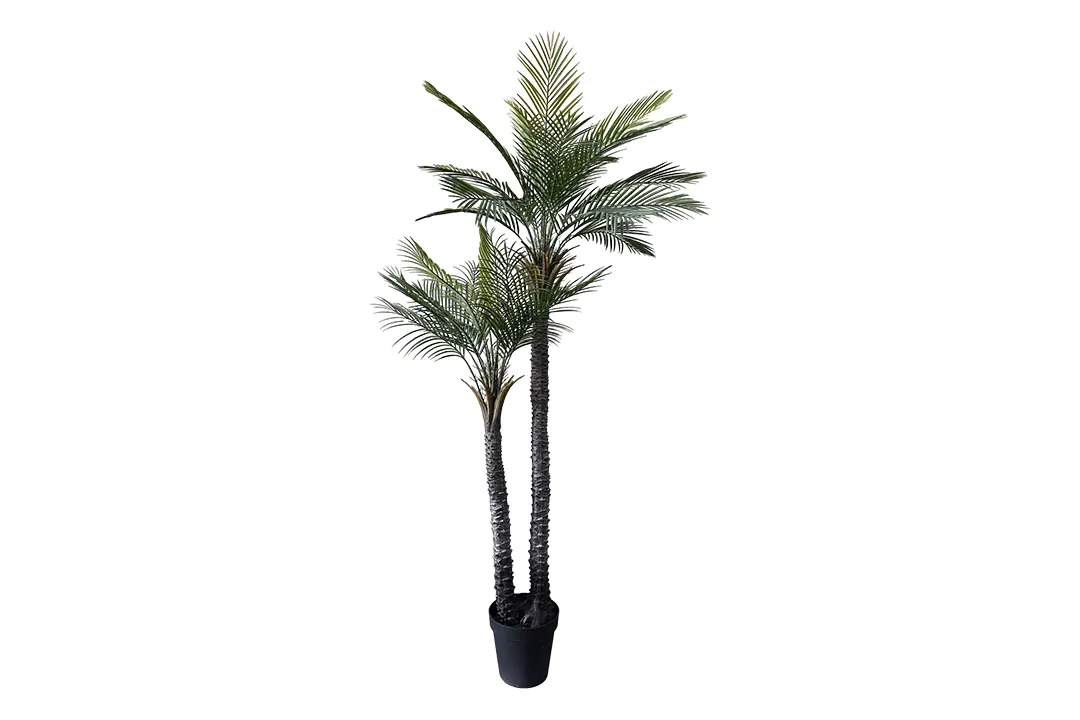 Vistafolia Palma Gemela Artificial Palm Tree - Presentation Media