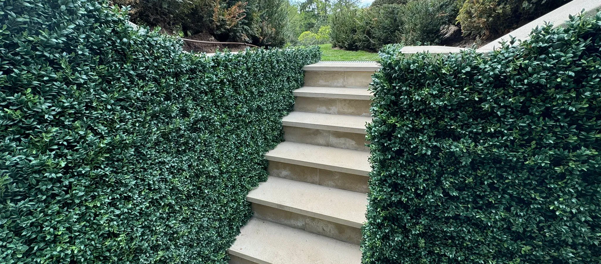 Vistafolia Luxury Boxwood Panel - Presentation Media