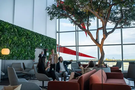 Vistafolia artificial green wall panels - Presentation Media